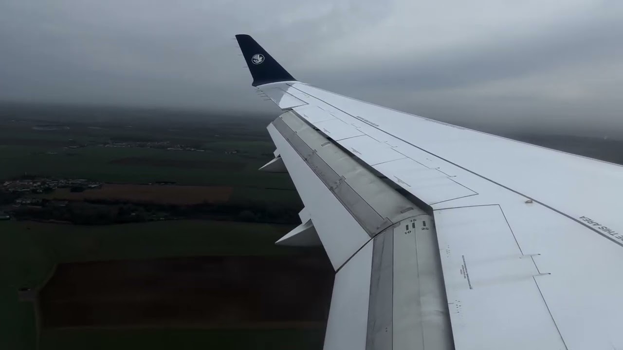 Air France Airbus A220  | Landing in Paris CDG
