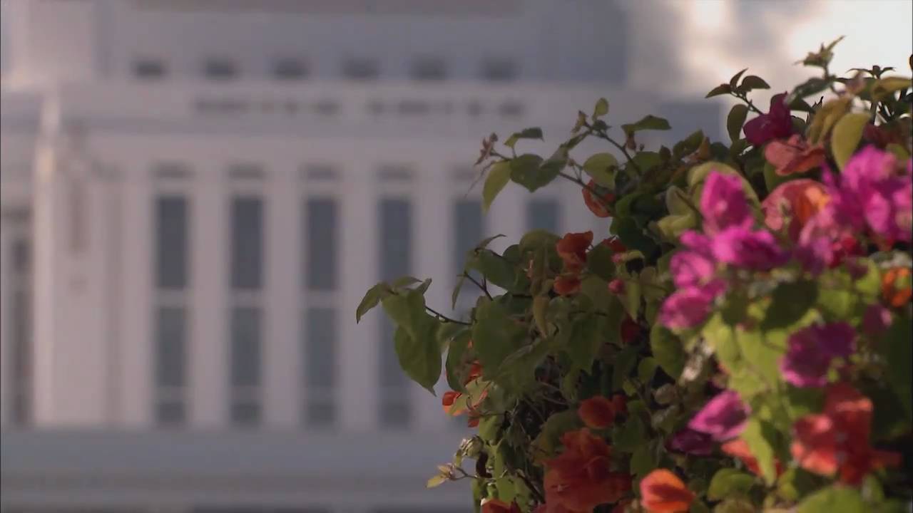 April 2011 World Report: Laie Hawaii Temple Rededication