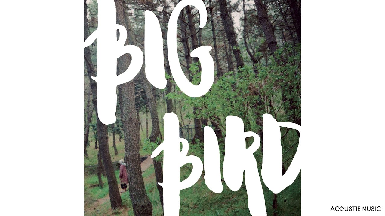 [Official Audio] 다린(Darin) - 큰새 (Big Bird)