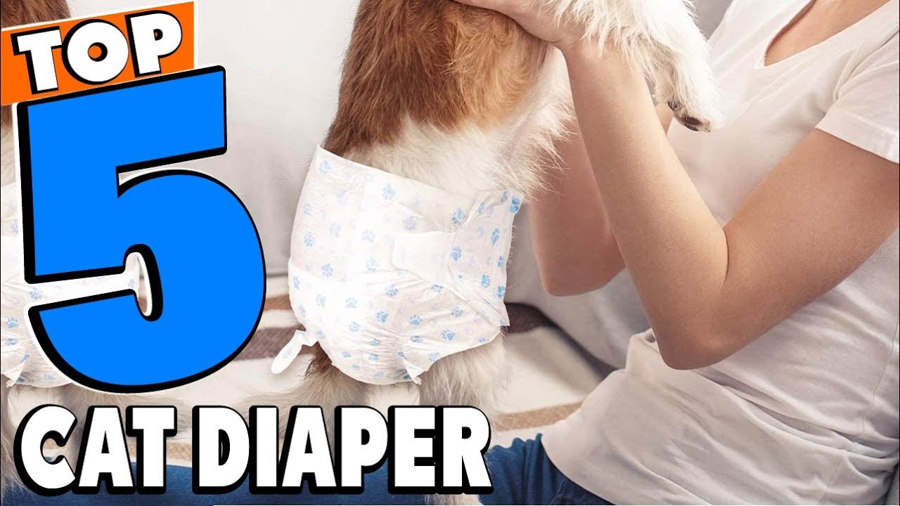 Top 5 Best Cat Diaper Review In 2026