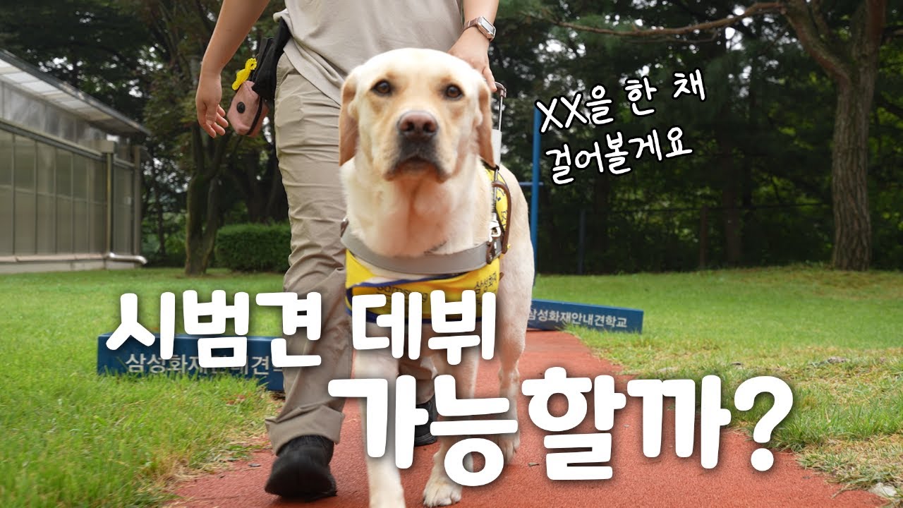 (경) 고리, 시범견 데뷔하다 (축)