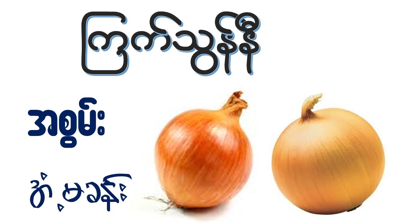 ကြက်သွန်နီ ရဲ့အကျိုးအာနိသင် (၂၄) မျိုး   I  Health Benefits of Onion