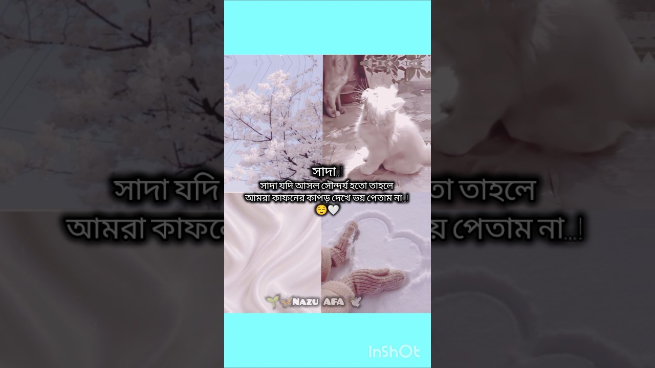 কালো... "!😌🦋🖤 