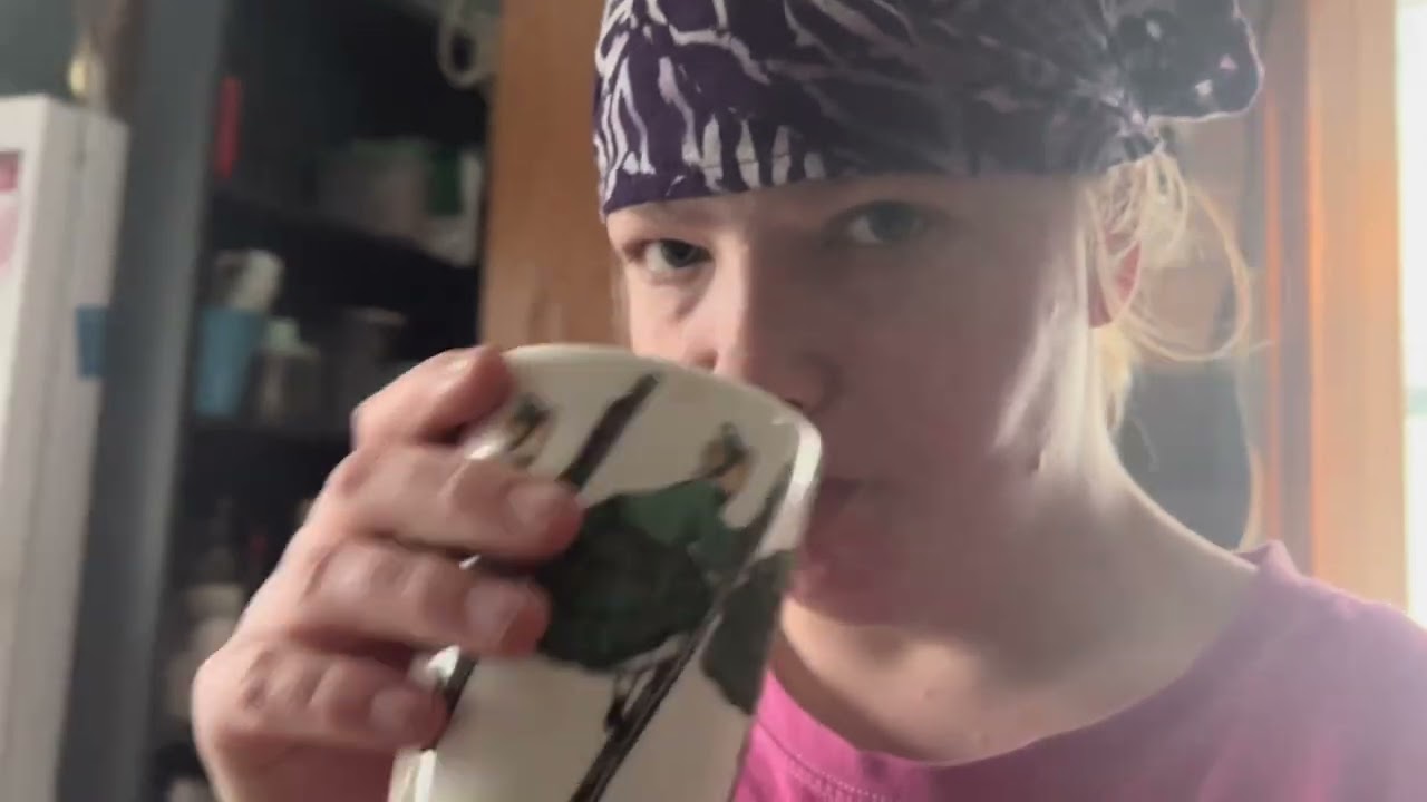 En vanlig vlogg full av katter och annat 