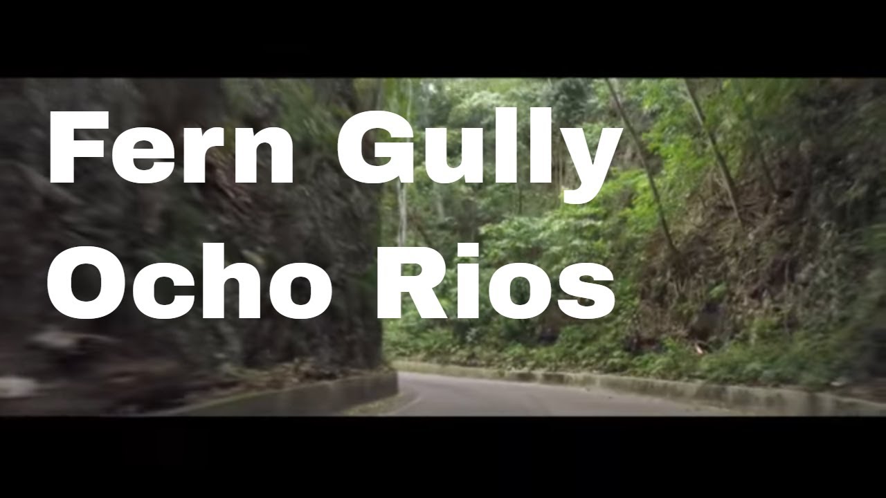 Fern Gully, Ocho Rios, Jamaica