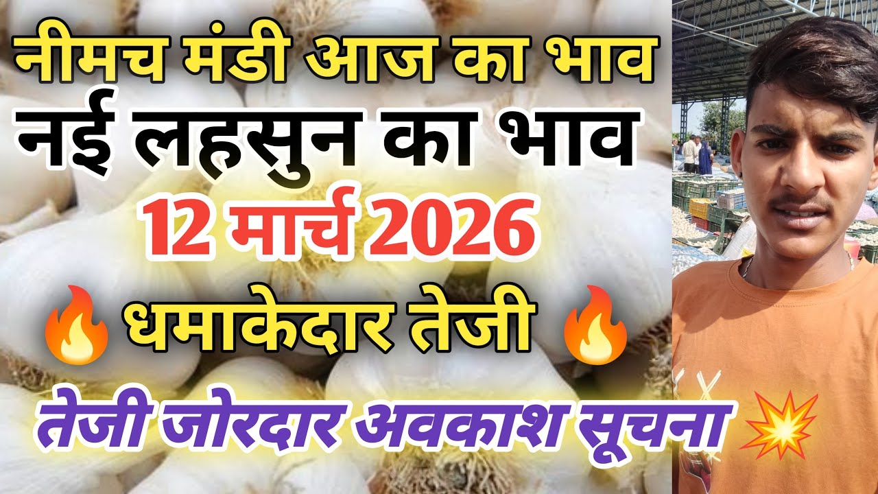 नीमच मंडी आज लहसुन के नये भाव/नीमच मंडी भाव आज/नीमच मंडी लहसुन भाव