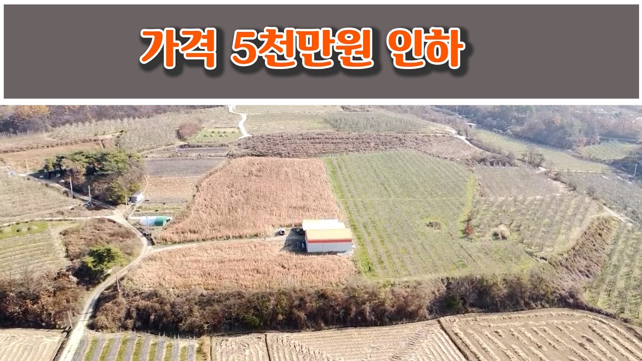 2185 경북 청송군 안덕면 복리, 대박 과수원, 년수입 1억이상,가격 5천만원 인하
