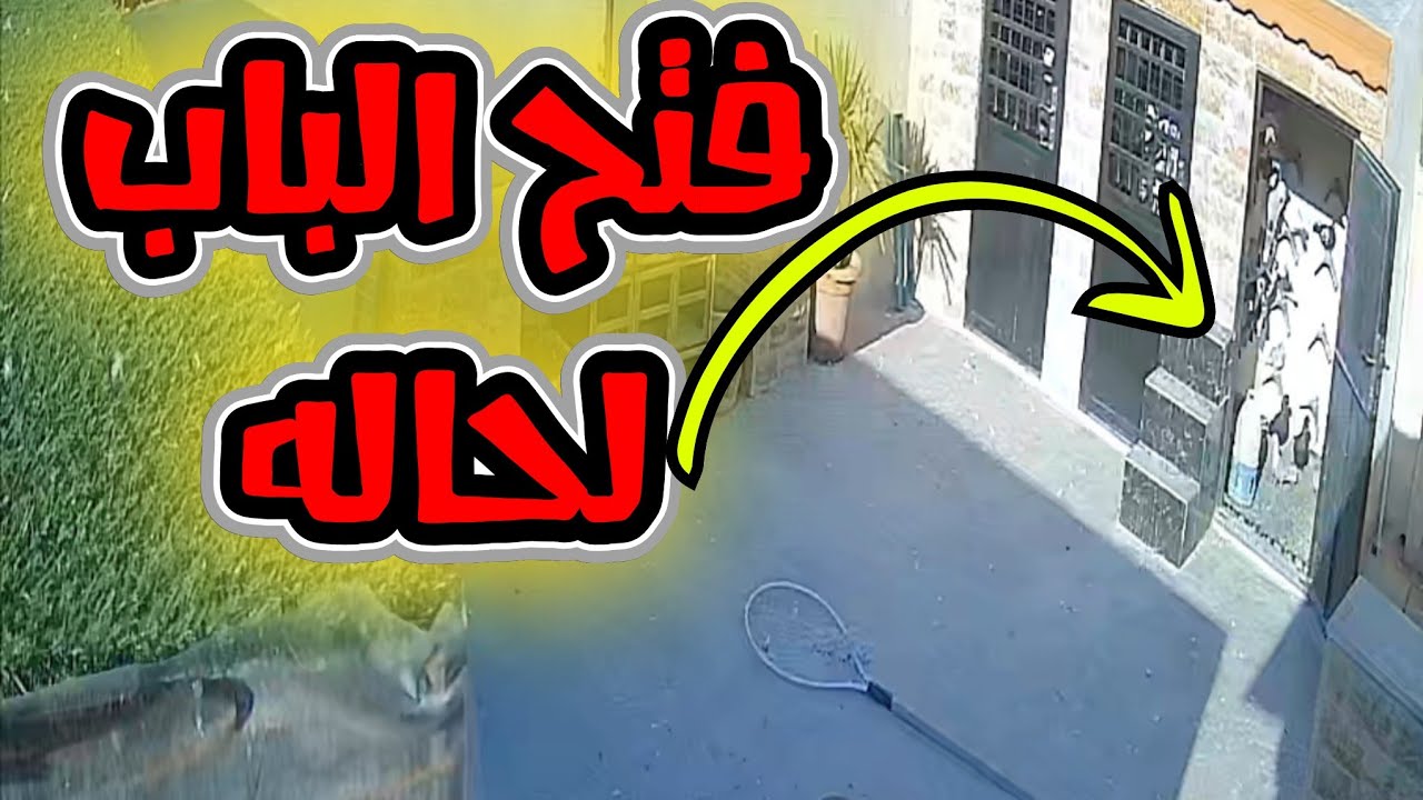 فتح باب خشة الحمام الجديدة لحالة 😱 والصبح بدري كم طير هرب منهم