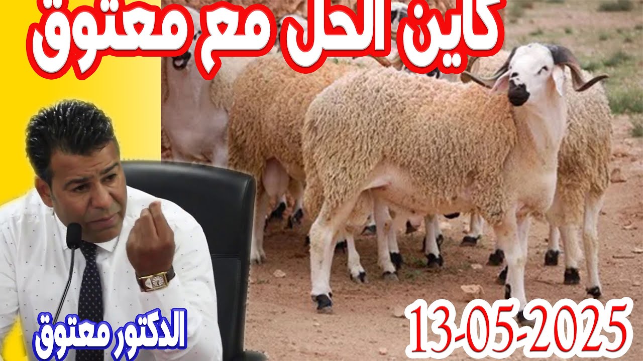 عيد الاضحي كاين غدي نعيدو كاين الحل مع الدكتور معتوق حلول مجانية 2024-05-13