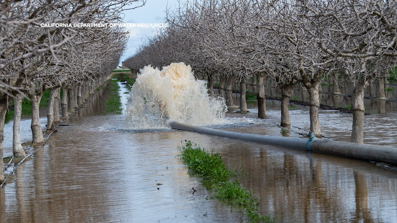 Trump executive order could divide control of CA's water system, putting distribution at risk