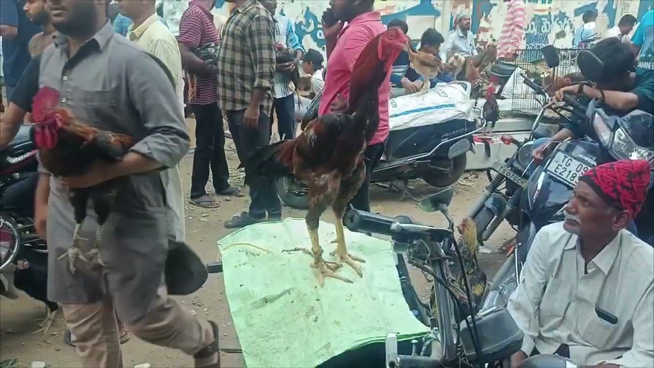 Erragadda Sunday market 20/7/2025
