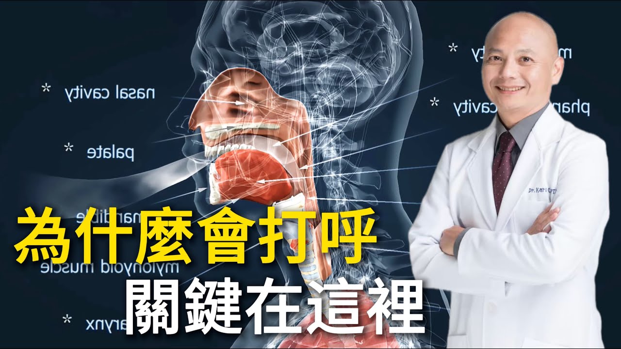 睡前5分鐘改善打呼｜打呼的原因與對策