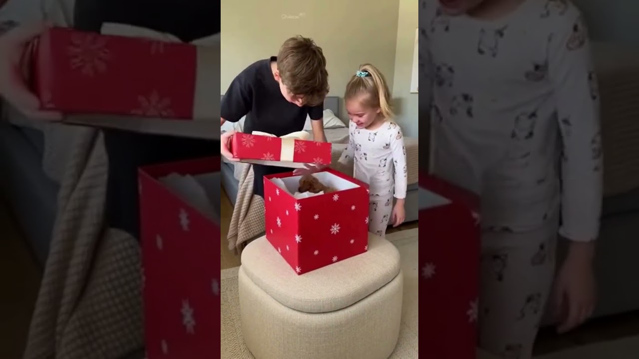Siblings Cry When They Find Puppy in Gift | Adorable Surprise
