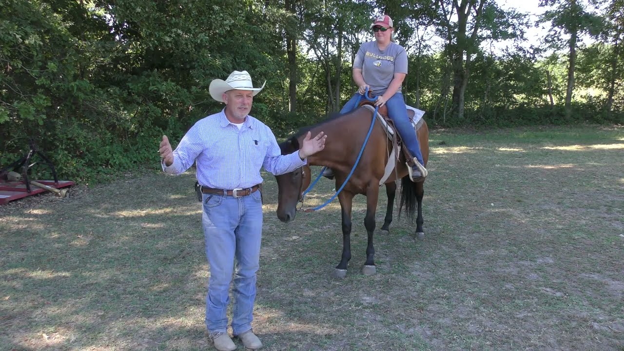 How to Soften a Dull Horse