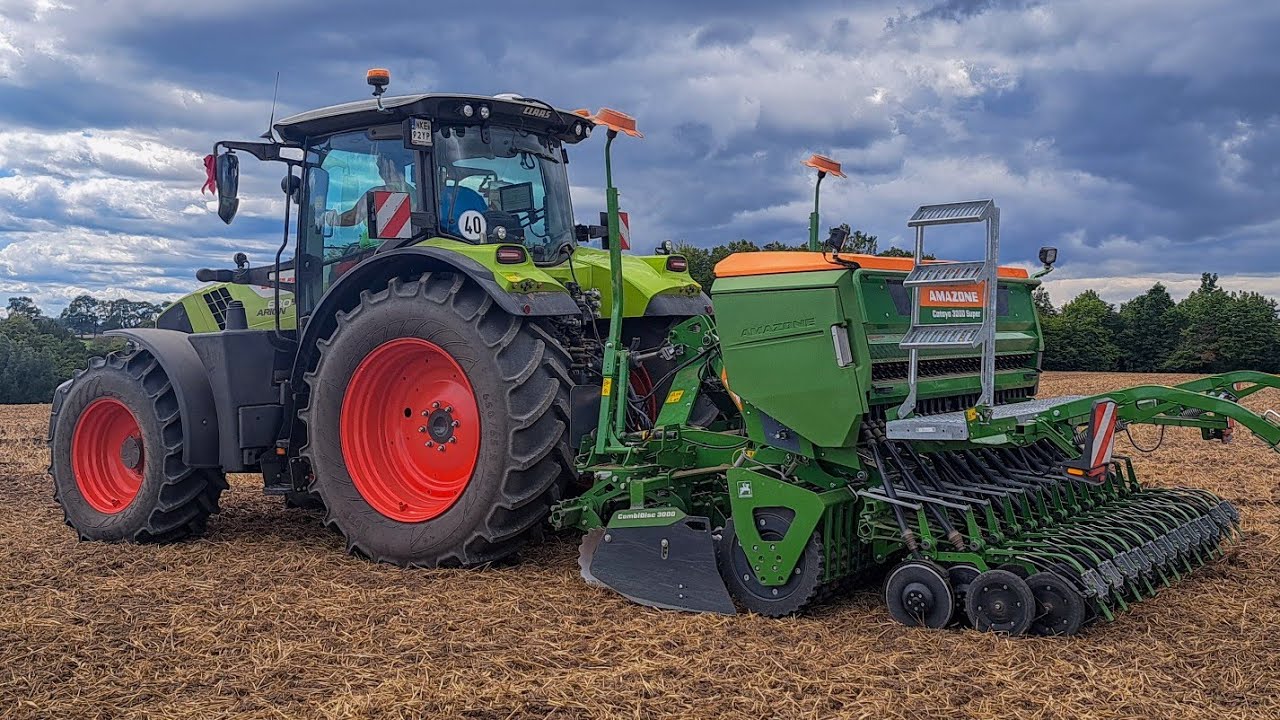 ✮Siew Rzepaku 2025 na GPS! ✔ Claas Arion 630 ✮ Amazone Cataya 3000 Super✮