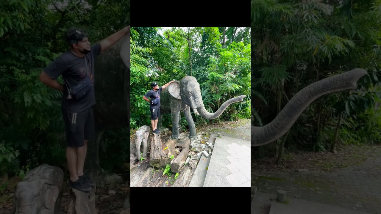 My Visit to Zoo Negara Malaysia | Wildlife Adventure | 16 Feb 2022 #ZooNegara #Malaysia #Wildlife 