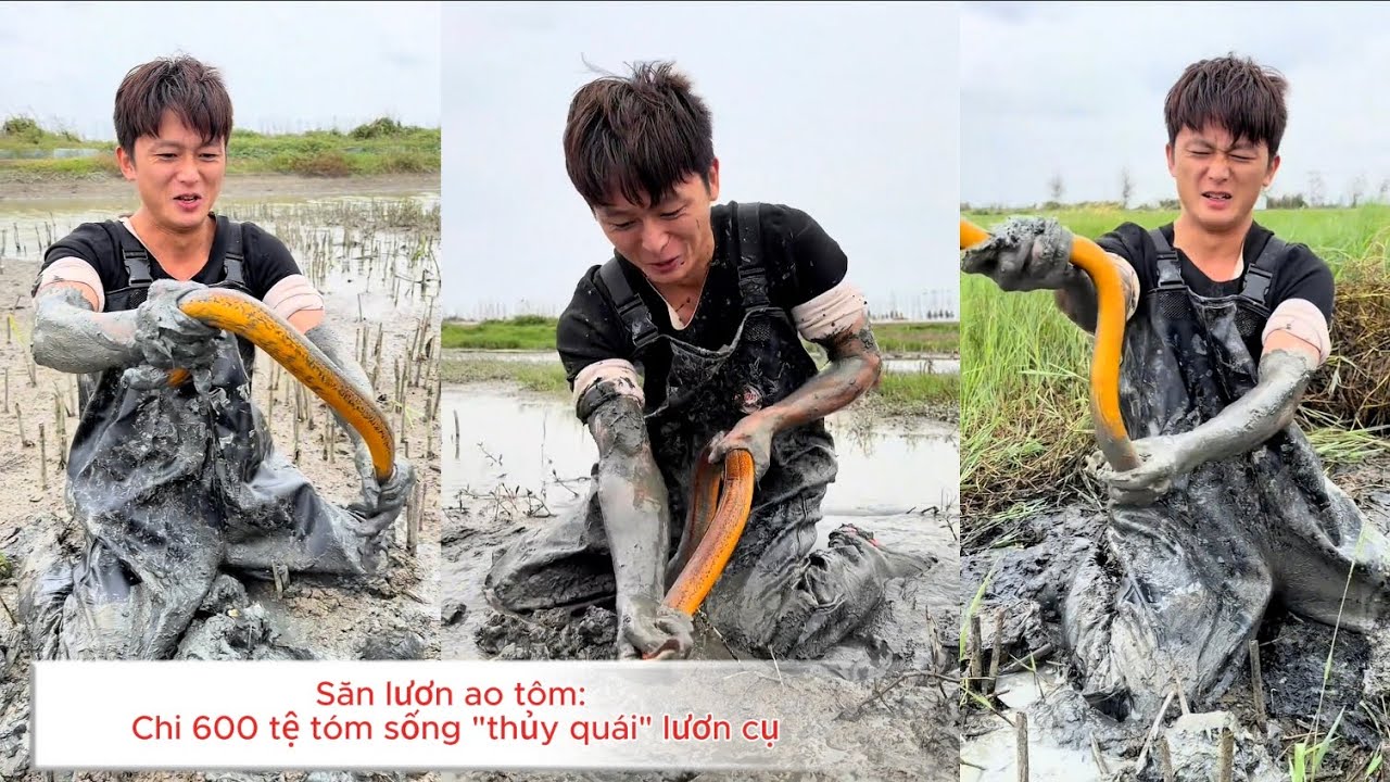 Trúng đậm bao ao 600 tệ bắt toàn lươn khủng,  chủ ao lác mắt