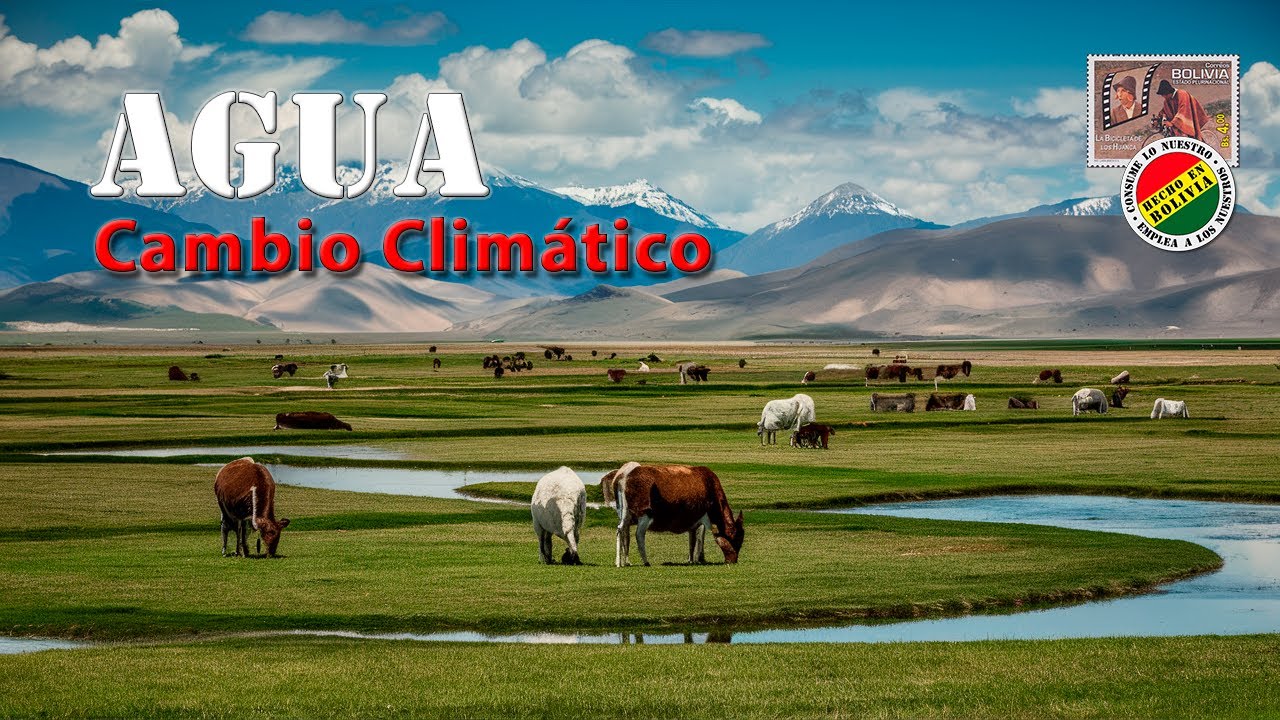 💧 Impacto del Cambio Climático en la Productividad del Agua en Bolivia 🌧️🔍