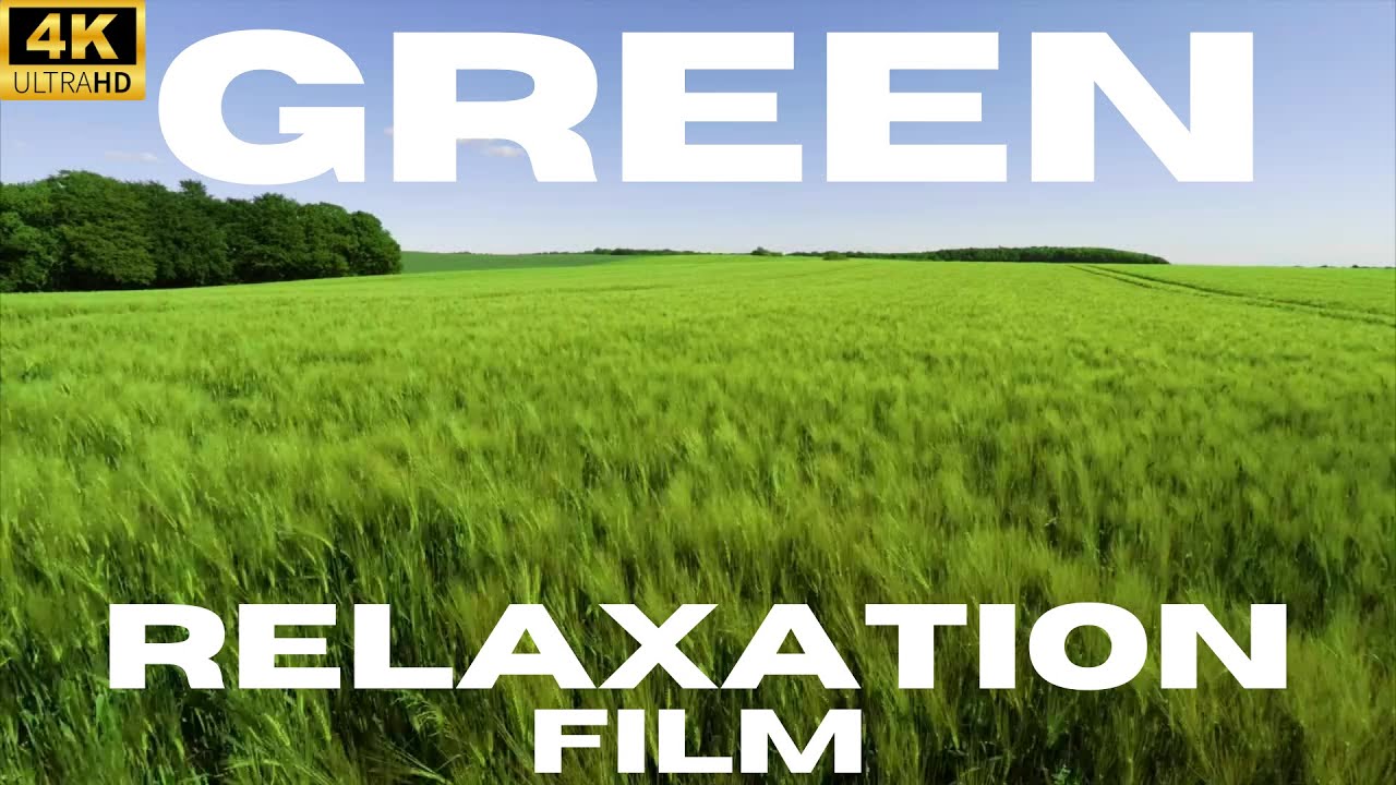 Relaxing Green: Nature's Tranquil Beauty in Shades of Green Relaxation