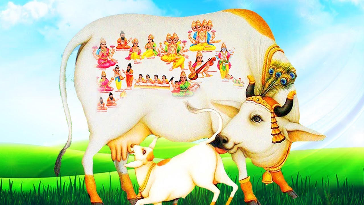 Sri Kamdhenu Gayatri Mantra(Gomatha) – Dr.R.Thiagarajan –Sacred Chants to Fulfill Desires