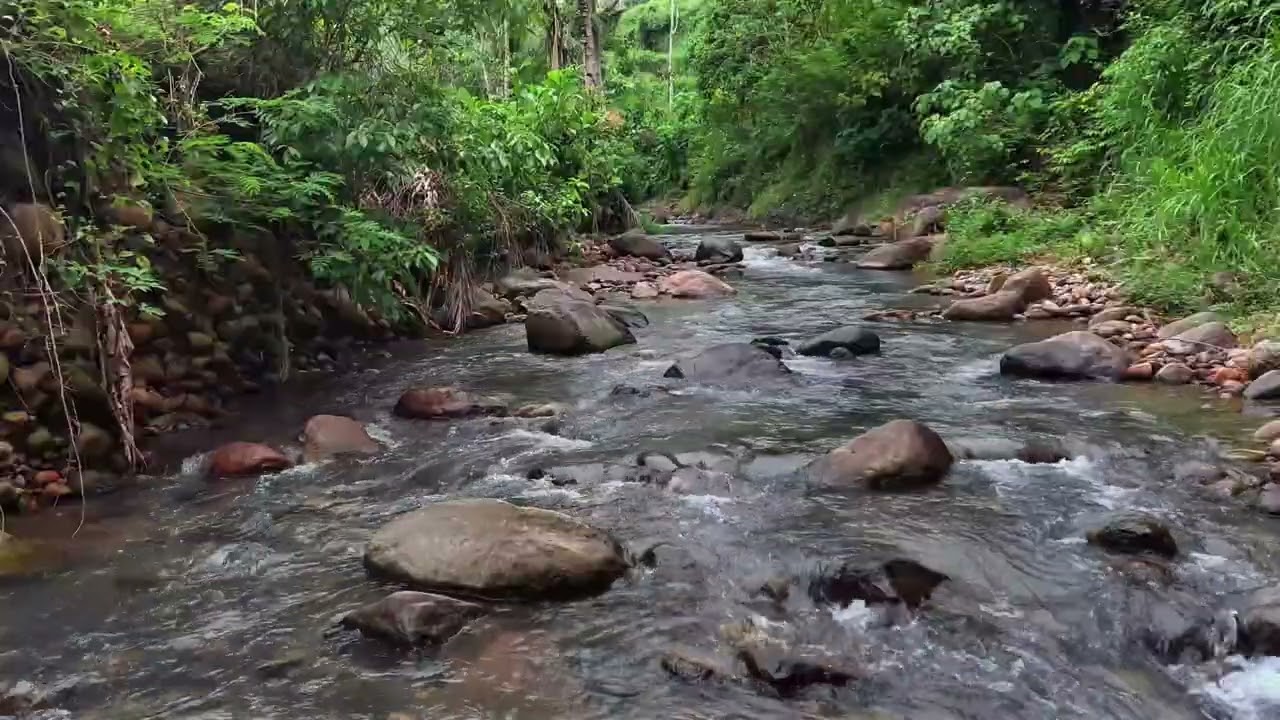 Soothing Forest River Flow with Natural White Noise for Better Sleep