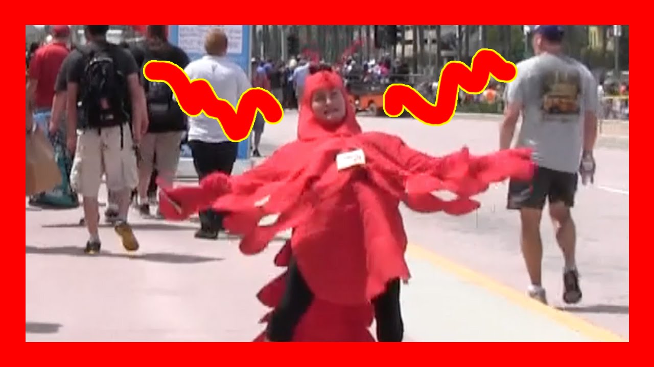 Libby The Lobster Goes to Comic Con