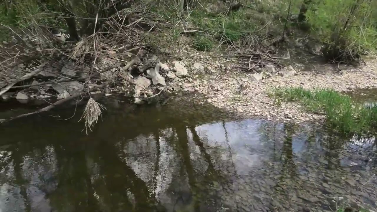 Immendingen Wo die Donau  wirklich wieder auftaucht !