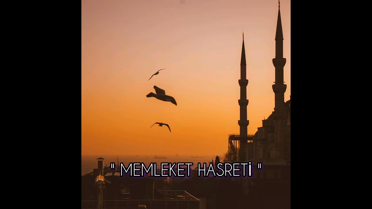 MEMLEKET HASRETİ