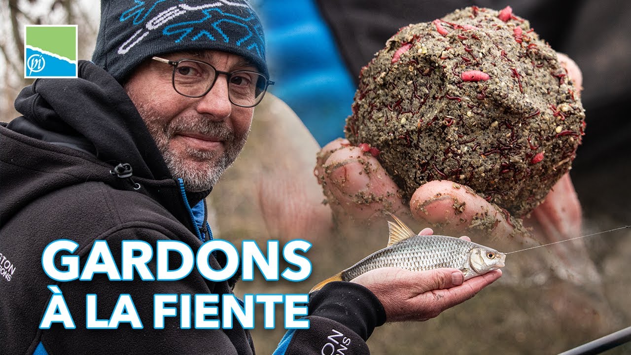 PÊCHE À LA FIENTE POUR ATTIRER LES GROS GARDONS - POURQUOI, COMMENT ? avec Olivier