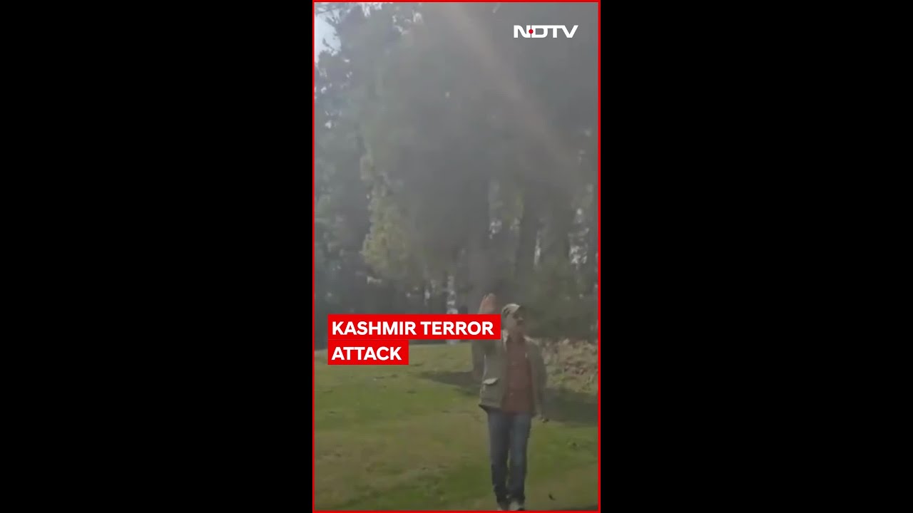 Pahalgam Terror Attack | Tourist's Video Shows Chilling Moment Terrorists Open Fire in Pahalgam