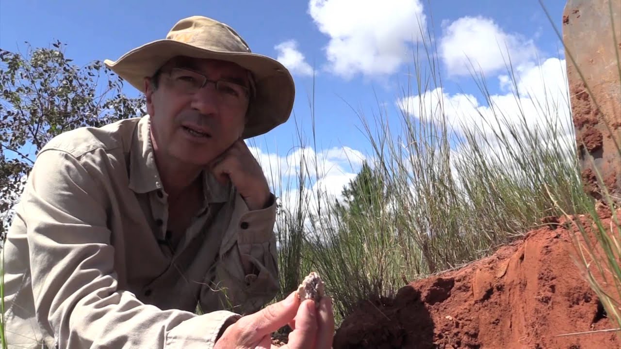 La biodiversité du sol, moteur de son fonctionnement