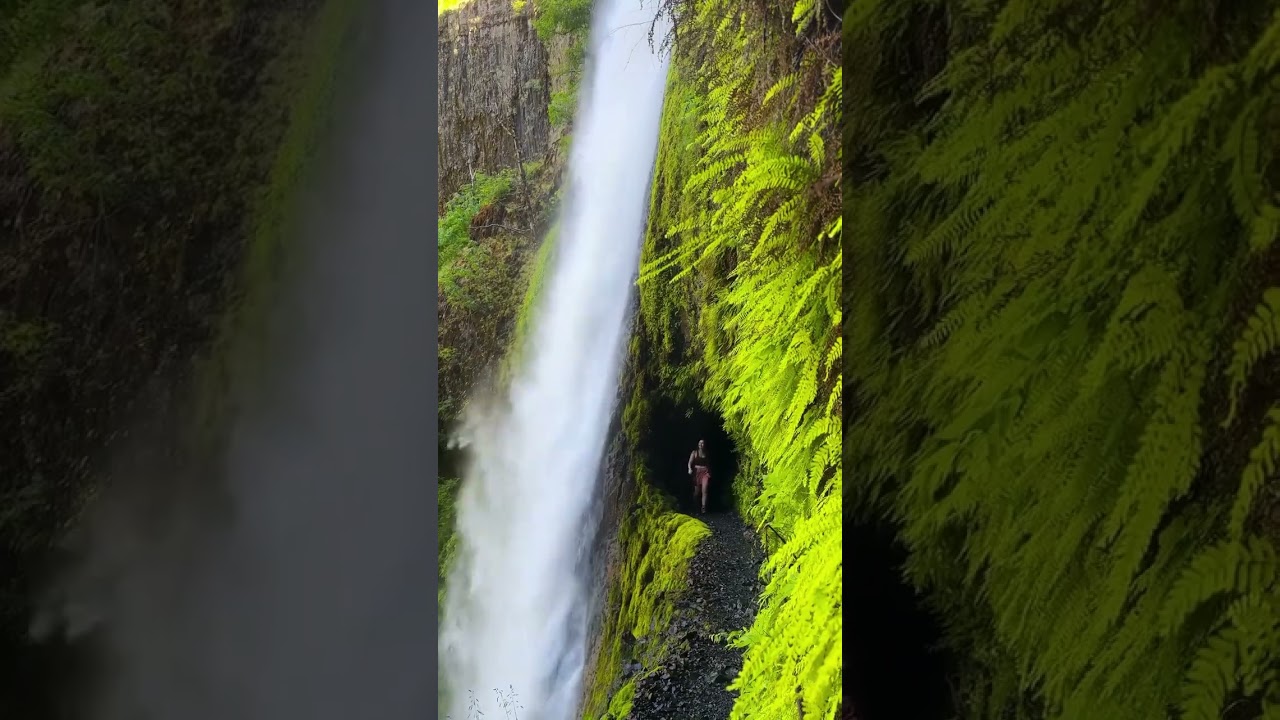 2026 10-Day Oregon Road Trip 🥹👇 FoIIow for more bucket list travel inspo 💛 ➡️Send this to