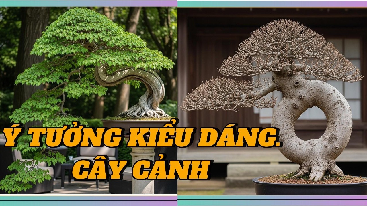 Ý tưởng và thiết kế hình dáng cây cảnh tác để phẩm bonsai đạt đến hoàn chỉnh#bonsai #bonsaitree