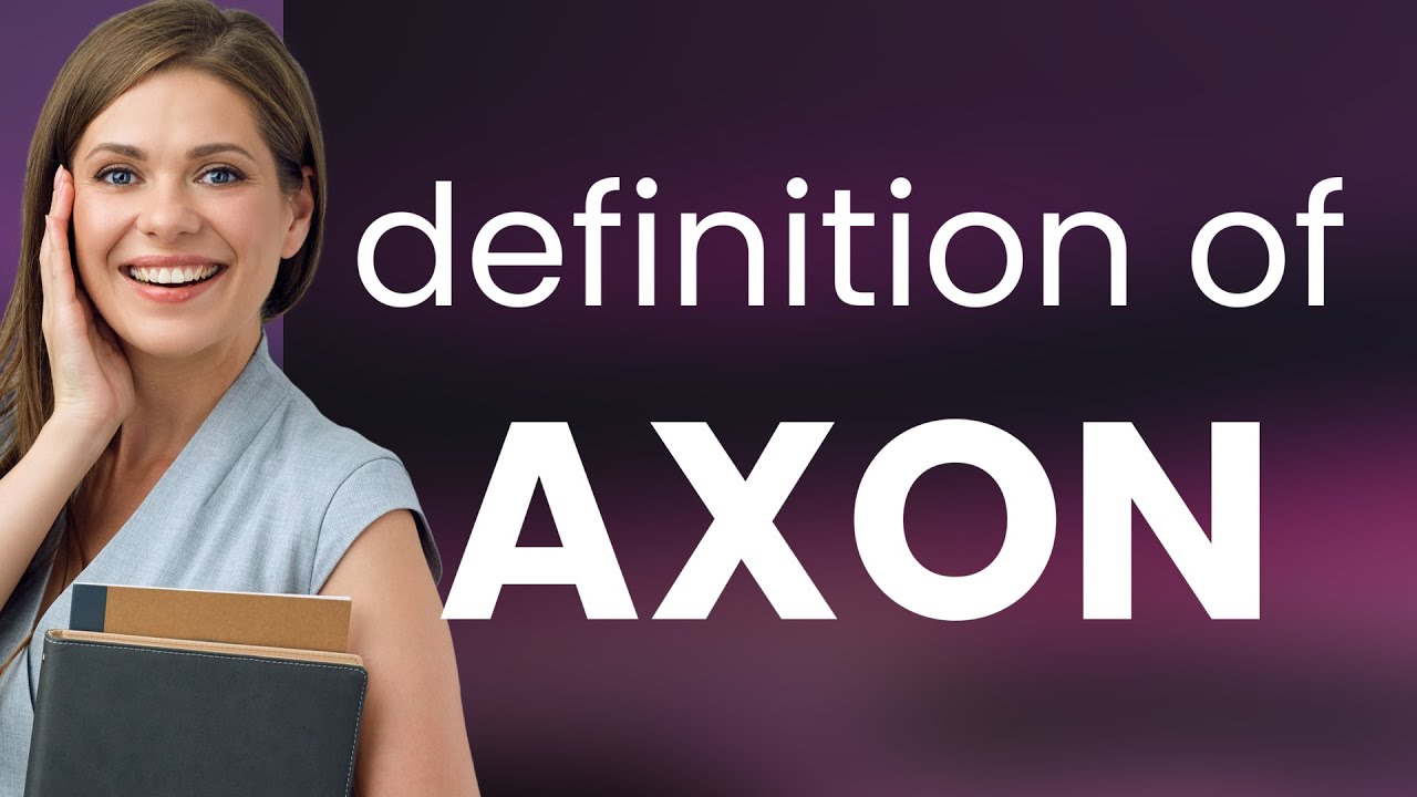 Axon | definition of AXON