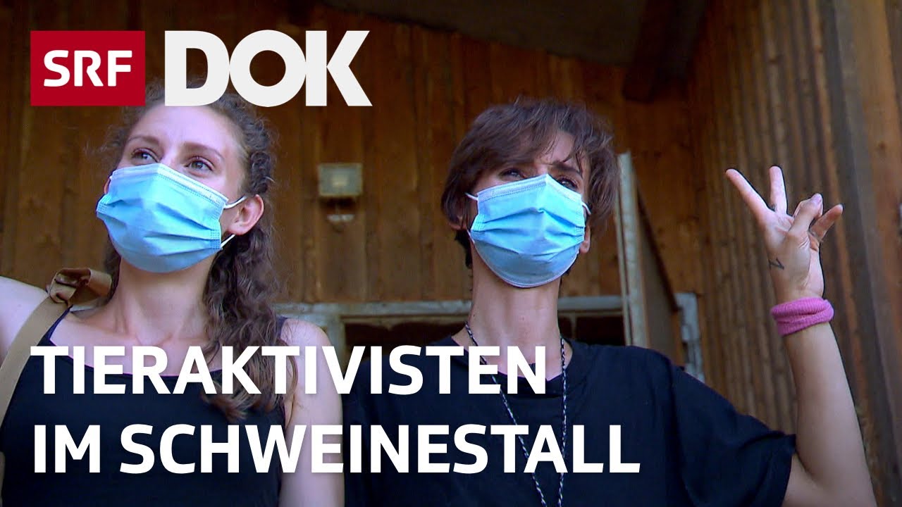 Militante Tiersch&uuml;tzer &ndash; Die erste Stallbesetzung in der Schweiz | Reportage | SRF