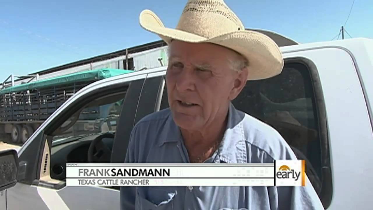 Texas heat taking economic toll