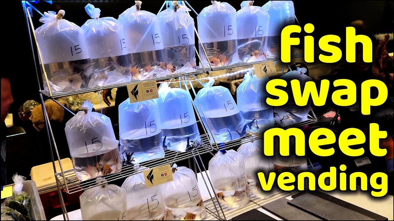 VENDING AT MY LOCAL FISH SWAP