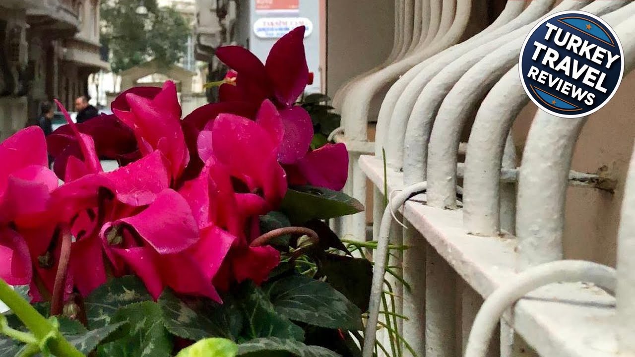 The House of Tulpan | İstanbul, Turkey | Hotel Review 🏩
