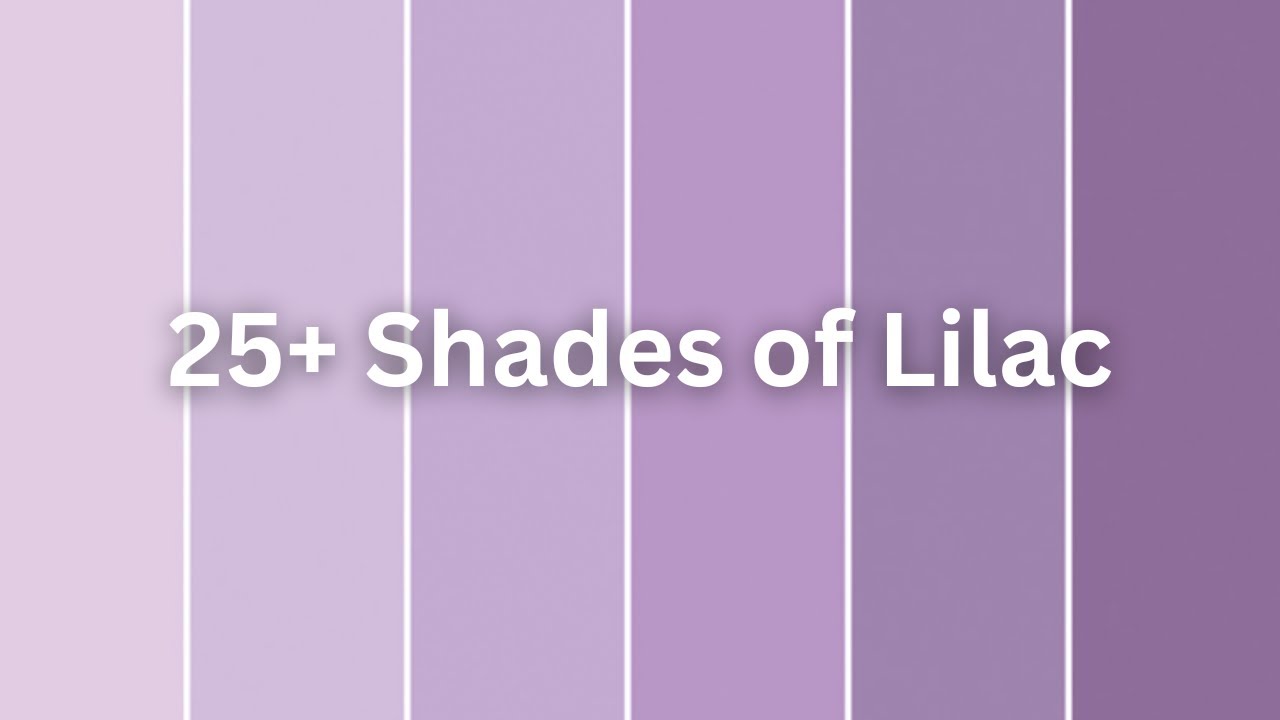 25+ Shades of Lilac Color | Colors  Shades