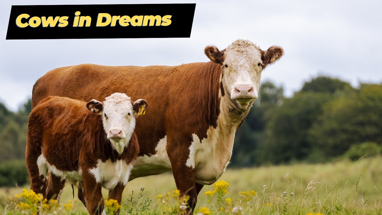 The Symbolic Meaning of Cows in Dreams: A Spiritual Exploration