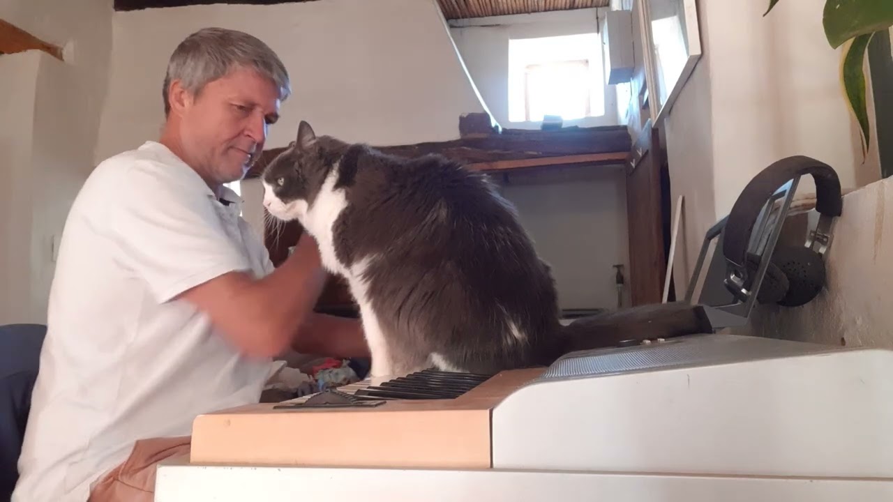 Just hanging out with my cat Smokey on the piano.