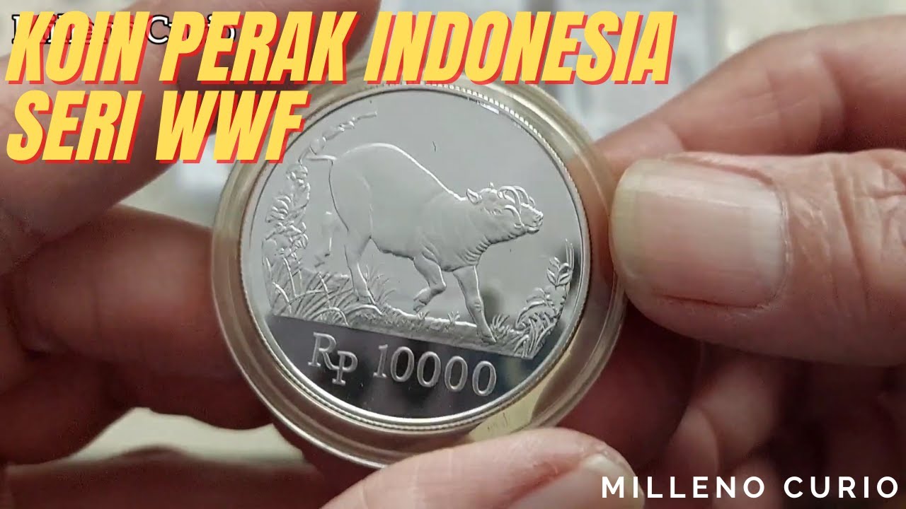 Koin Perak Indonesia Seri WWF 1987 || Babirusa