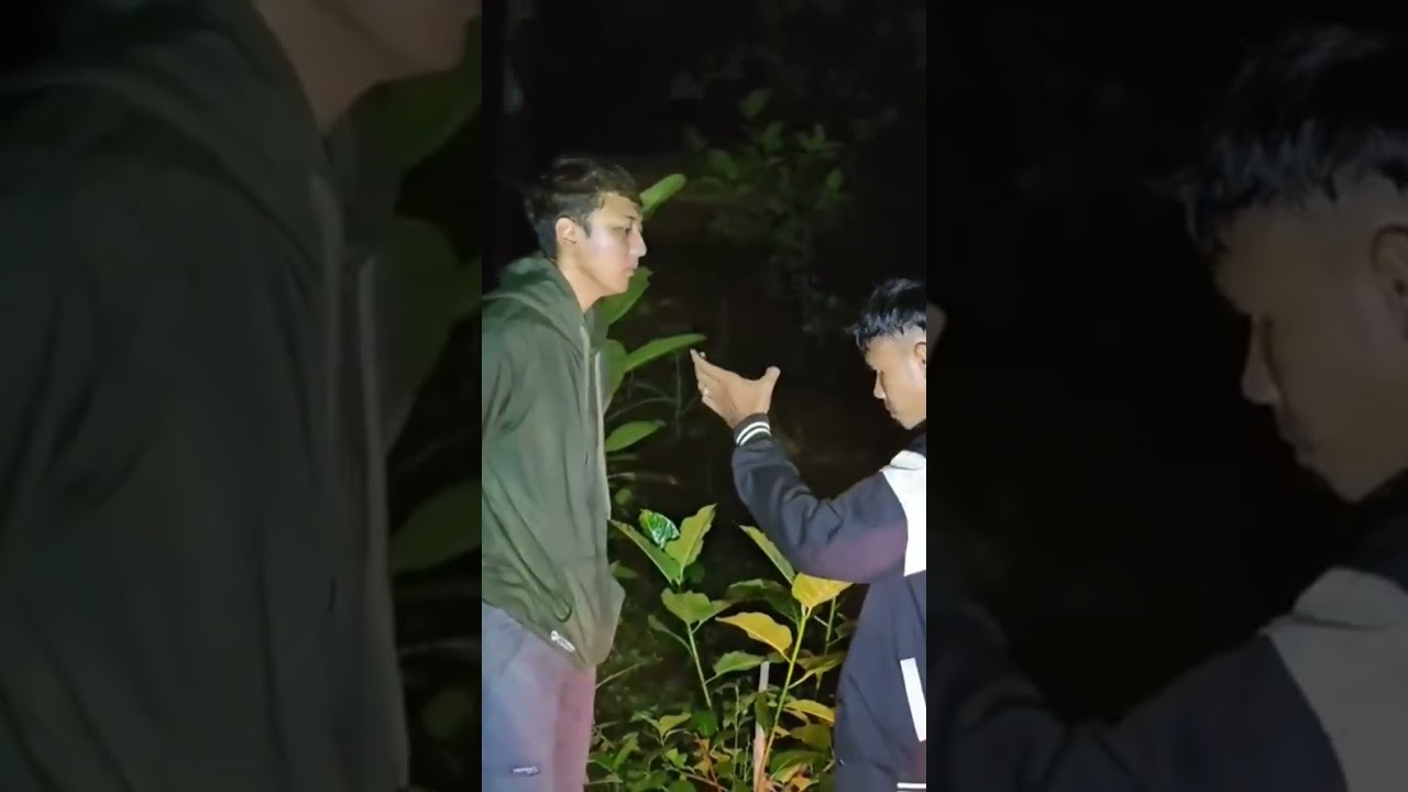 THE POWER LIGHT SPIRIT OF PROBO TRISHNA #probotrishnaBR #runningmisteri #agusmisteri #Shorts#real