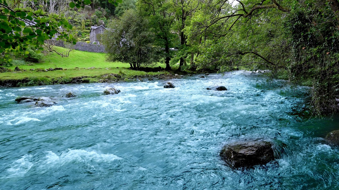 The Most Peaceful River Sounds for Sleep & Relaxation 🌊 Flowing Water Ambience 🌙 (10 Hours)