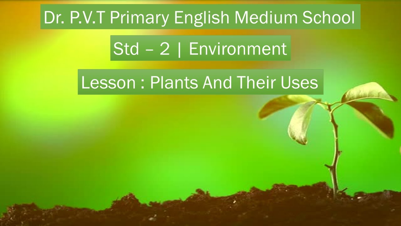 Plants & their uses