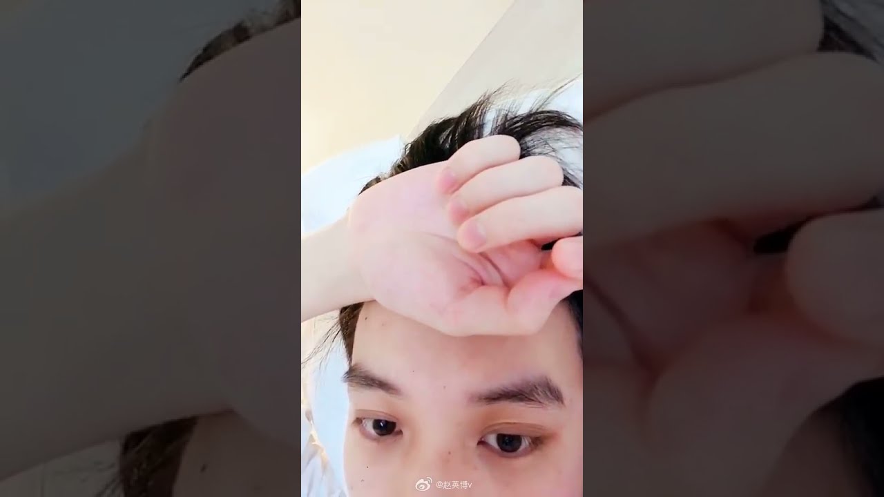 【ENG SUB】Vlog | 人体行车记录仪 Human tachograph| 赵英博 Zhao Yingbo 2020
