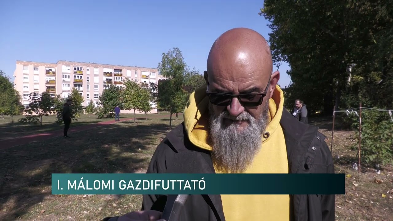 2025.10.07. - Kuty&aacute;s fut&aacute;s M&aacute;lomban