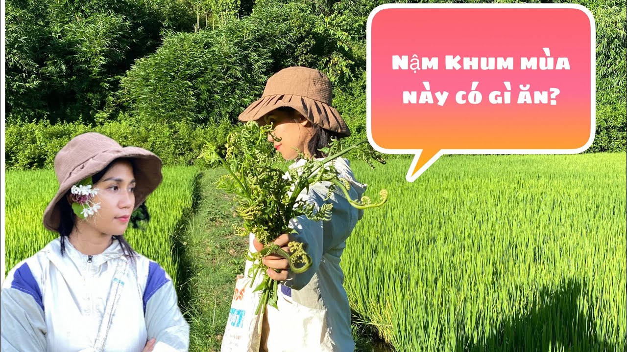 Nậm Khum Mùa Này Có Gì Ăn??./.Nậm KHUM