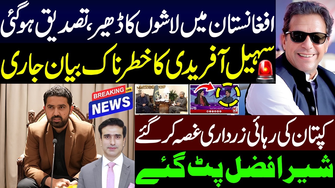 سہیل آفریدی کا خطرناک بیان جاری کپتان کی رہائی زرداری غصہ کر گئے شیرافضل پٹ گئے