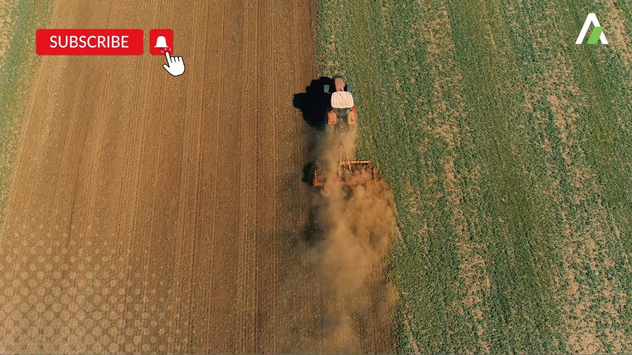 Дисковая борона Vaderstad Carrier 500 CROSSCUTTER DISC, хозяйство AGRO-BALANJIU SRL